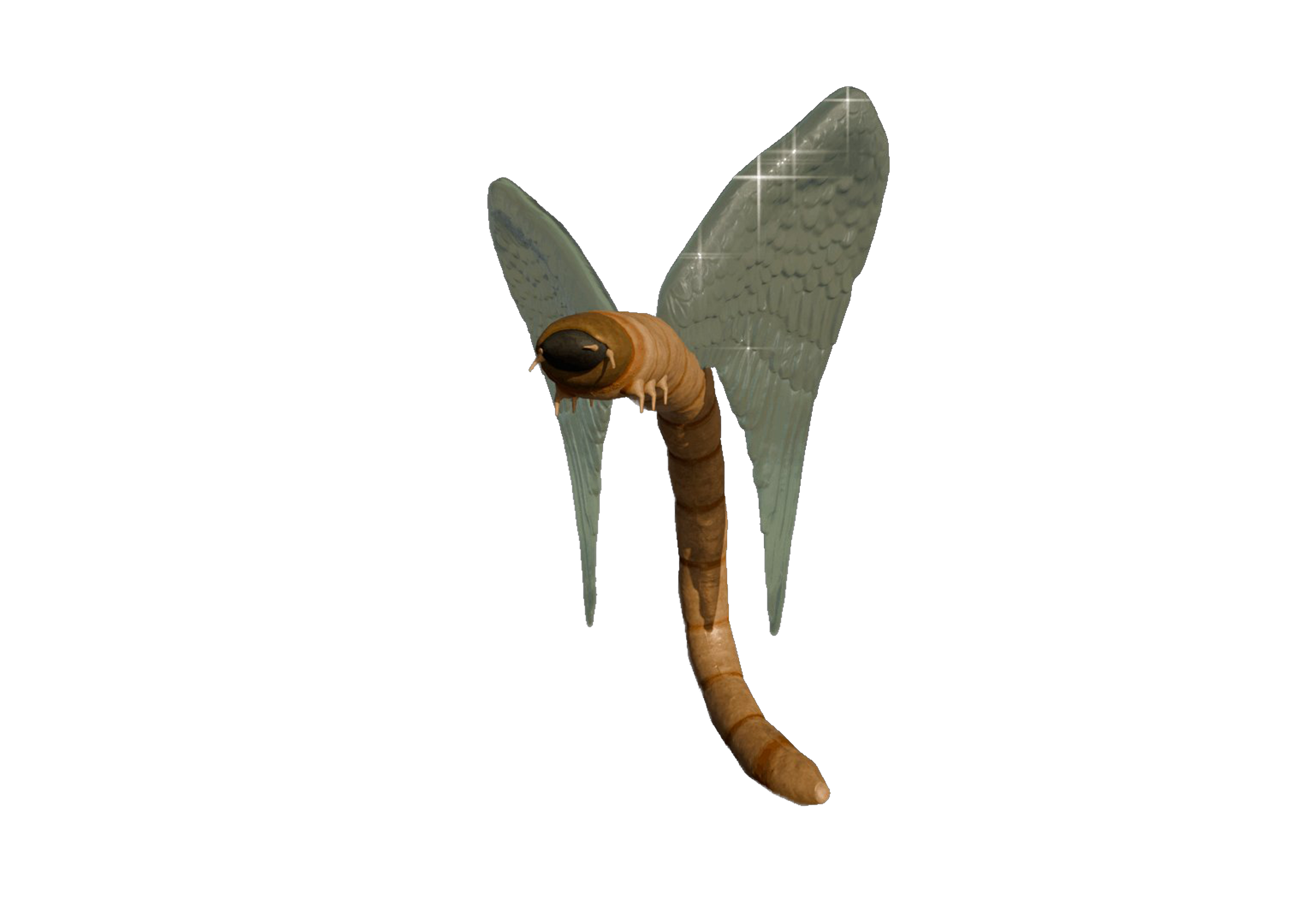 angel maggot logo